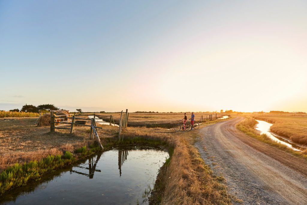 Marais des Pays de Monts